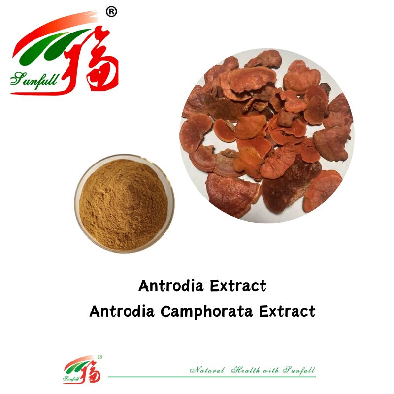 Hunan Sunfull Dietary Supplements Agaricus Subrufescens/Hericium Erinaceus/Antrodia/Cordyceps Sinensis/Coriolus Versicolor/Mushroom Extract Powder