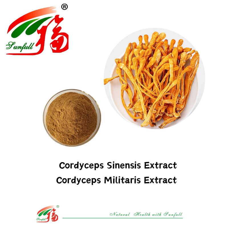 Hunan Sunfull Dietary Supplements Agaricus Subrufescens/Hericium Erinaceus/Antrodia/Cordyceps Sinensis/Coriolus Versicolor/Mushroom Extract Powder