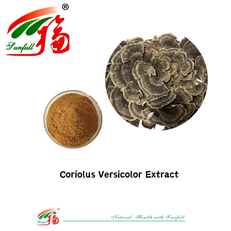 Hunan Sunfull Dietary Supplements Agaricus Subrufescens/Hericium Erinaceus/Antrodia/Cordyceps Sinensis/Coriolus Versicolor/Mushroom Extract Powder