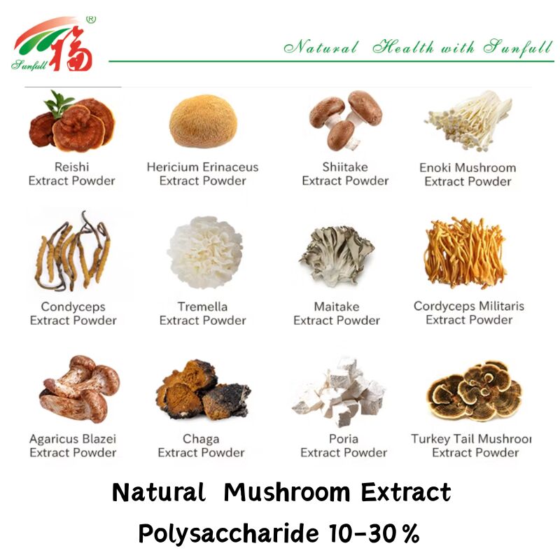 Natural Organic Ingredient Dietary Supplements Polysaccharide 10-30% Phellinus Igniarius /Ganoderma Lucidum/Chaga/Maitake / Shiitake Mushroom Extract Powder