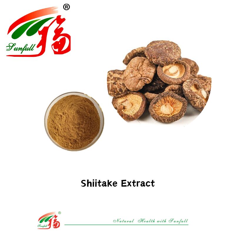 Natural Organic Ingredient Dietary Supplements Polysaccharide 10-30% Phellinus Igniarius /Ganoderma Lucidum/Chaga/Maitake / Shiitake Mushroom Extract Powder