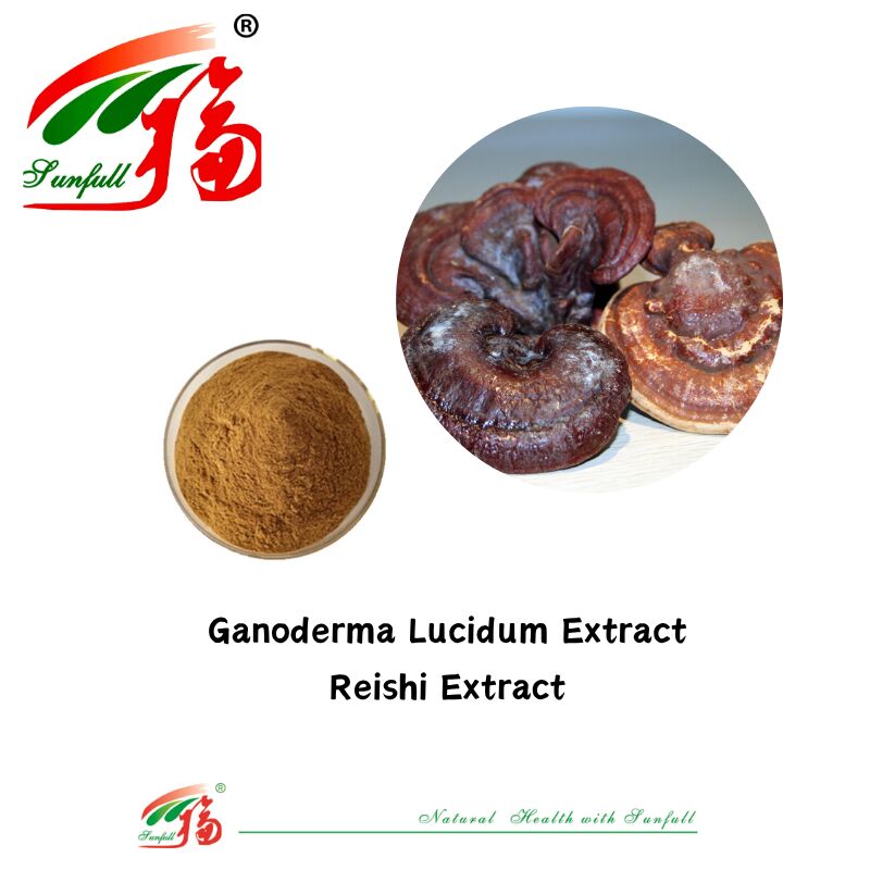 Natural Organic Ingredient Dietary Supplements Polysaccharide 10-30% Phellinus Igniarius /Ganoderma Lucidum/Chaga/Maitake / Shiitake Mushroom Extract Powder