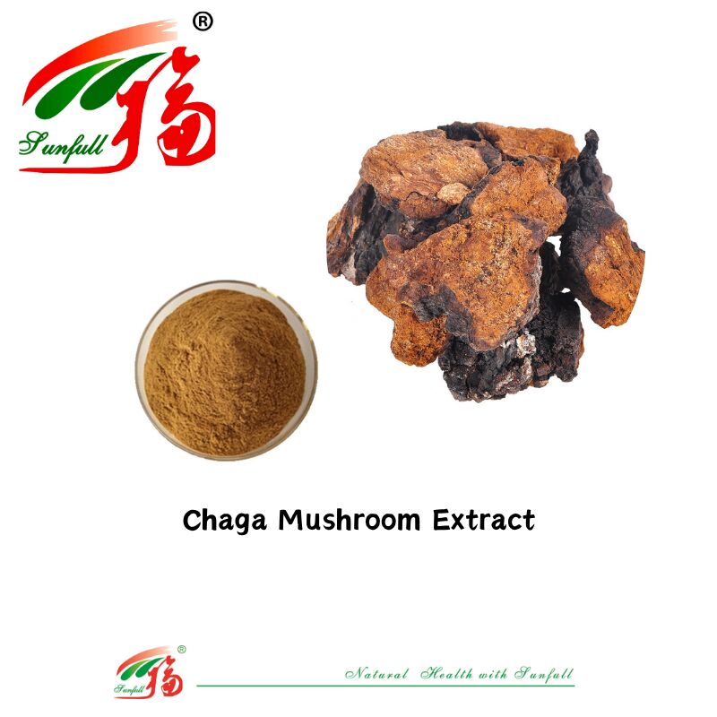 Natural Organic Ingredient Dietary Supplements Polysaccharide 10-30% Phellinus Igniarius /Ganoderma Lucidum/Chaga/Maitake / Shiitake Mushroom Extract Powder