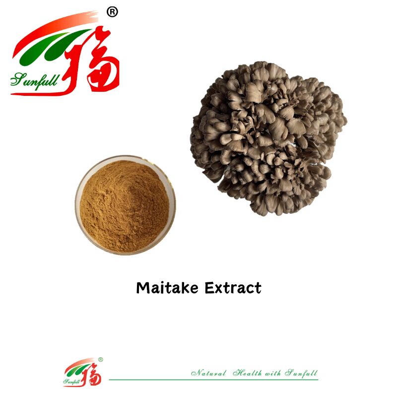 Natural Organic Ingredient Dietary Supplements Polysaccharide 10-30% Phellinus Igniarius /Ganoderma Lucidum/Chaga/Maitake / Shiitake Mushroom Extract Powder