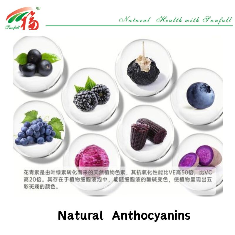 Hunan Sunfull Factory Supply High Quality Natural Antioxidants Anthocyanins 1%-25% Billberry/Elderberry/Acai Berry/Blackcurrant/Blueberry Extract