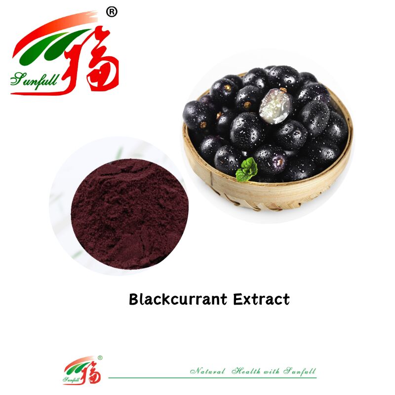 Hunan Sunfull Factory Supply High Quality Natural Antioxidants Anthocyanins 1%-25% Billberry/Elderberry/Acai Berry/Blackcurrant/Blueberry Extract
