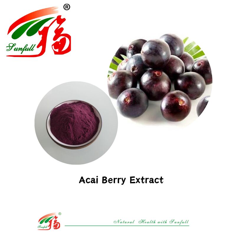Hunan Sunfull Factory Supply High Quality Natural Antioxidants Anthocyanins 1%-25% Billberry/Elderberry/Acai Berry/Blackcurrant/Blueberry Extract