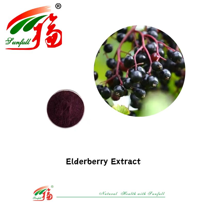 Hunan Sunfull Factory Supply High Quality Natural Antioxidants Anthocyanins 1%-25% Billberry/Elderberry/Acai Berry/Blackcurrant/Blueberry Extract