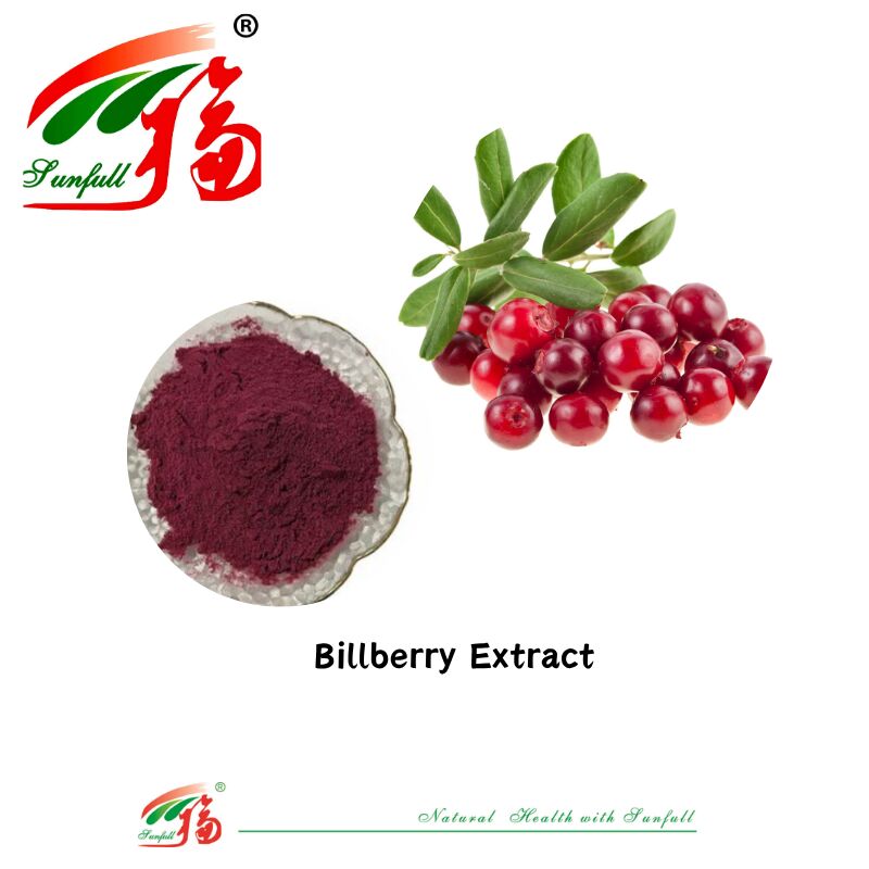 Hunan Sunfull Factory Supply High Quality Natural Antioxidants Anthocyanins 1%-25% Billberry/Elderberry/Acai Berry/Blackcurrant/Blueberry Extract