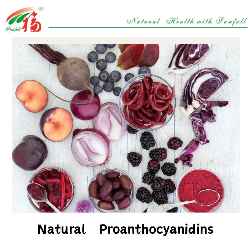Factory Supply High Quality 100% Natural Antioxidants OPC Proanthocyanidin 95% Peanut Skin/Pine Bark/Cranberry/Grape Seed Extract
