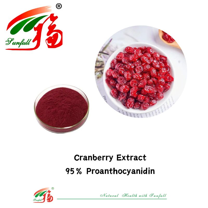 Factory Supply High Quality 100% Natural Antioxidants OPC Proanthocyanidin 95% Peanut Skin/Pine Bark/Cranberry/Grape Seed Extract