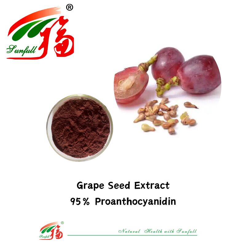 Factory Supply High Quality 100% Natural Antioxidants OPC Proanthocyanidin 95% Peanut Skin/Pine Bark/Cranberry/Grape Seed Extract