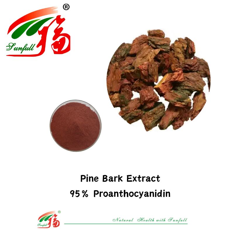 Factory Supply High Quality 100% Natural Antioxidants OPC Proanthocyanidin 95% Peanut Skin/Pine Bark/Cranberry/Grape Seed Extract