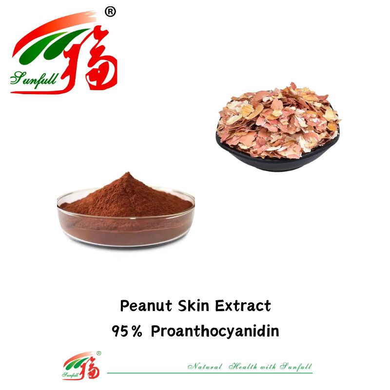 Factory Supply High Quality 100% Natural Antioxidants OPC Proanthocyanidin 95% Peanut Skin/Pine Bark/Cranberry/Grape Seed Extract