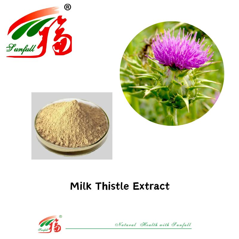 Herbal Silybum Marianum Plant Blessed Thistle Seed Powder 30% Silybins HPLC UV 40%~80% Liposome 40%-80% Silymarin Milk Thistle Extract for Liver Health