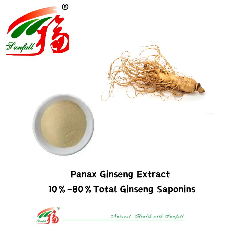 Sunfull Manufacturer Free Sample Traditional Chinese Medicine Organic HPLC 10% 80% Ginsenosides American Ginseng /Korean Ginseng Extract / Panax Ginseng Extract