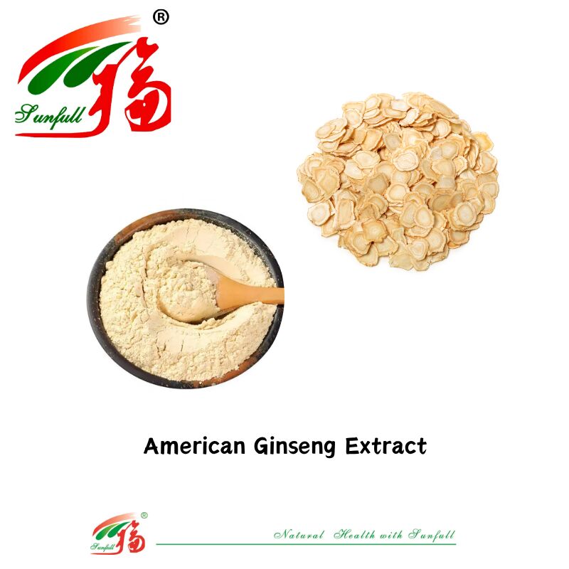 Sunfull Manufacturer Free Sample Traditional Chinese Medicine Organic HPLC 10% 80% Ginsenosides American Ginseng /Korean Ginseng Extract / Panax Ginseng Extract