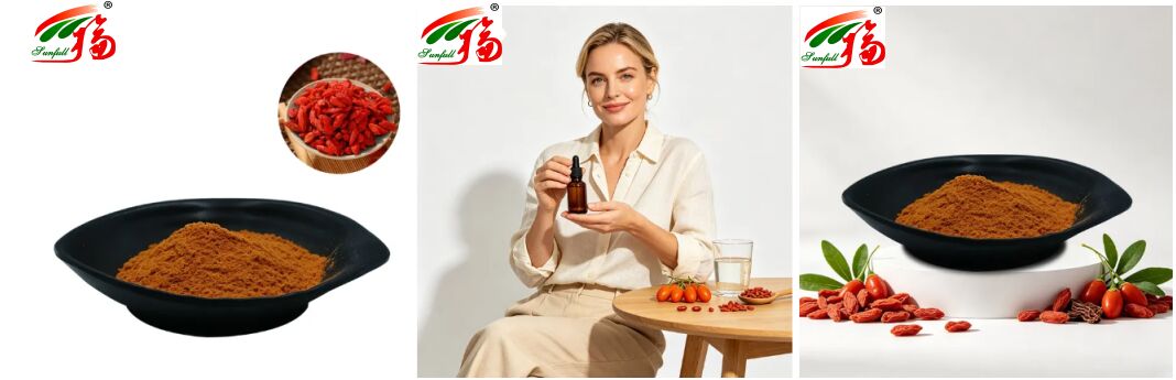 Natural Chinese Dietary Supplements Anthocyanin 1-25% Polysaccharides 10%-50% Lycium Barbarum Extract Wolfberry Extract/Goji Berry Extract