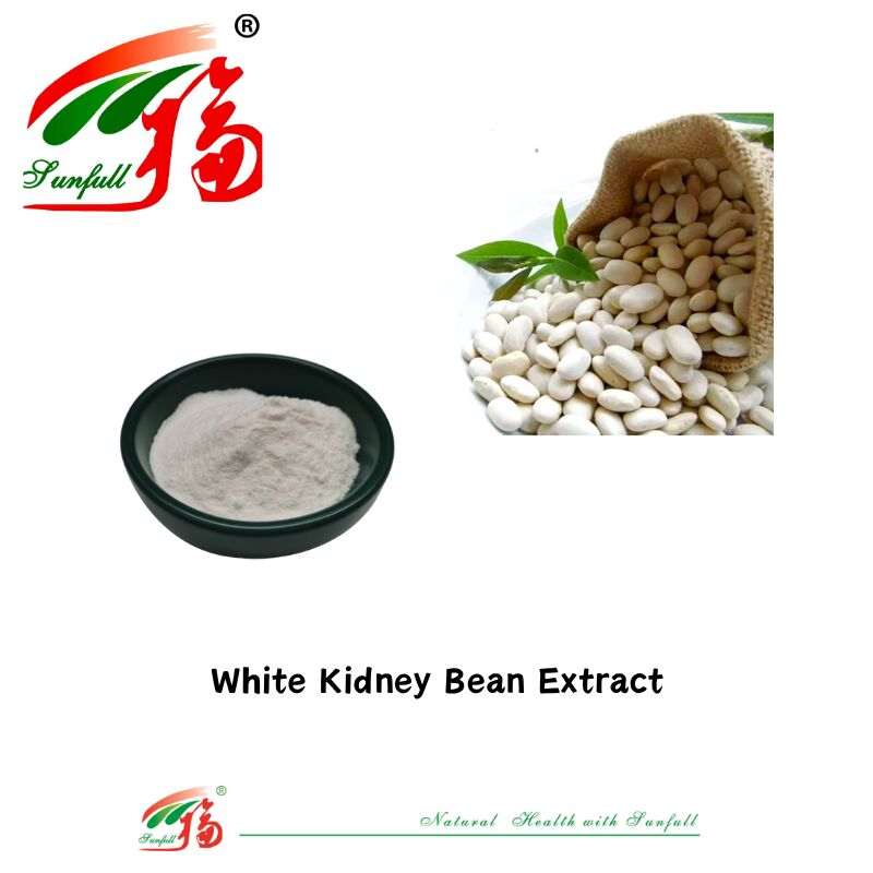 High Quality Natural Dietary Supplements Konjca Extract Glucomannan 85% White Kidney Bean Extract Powder for Weight Loss Support