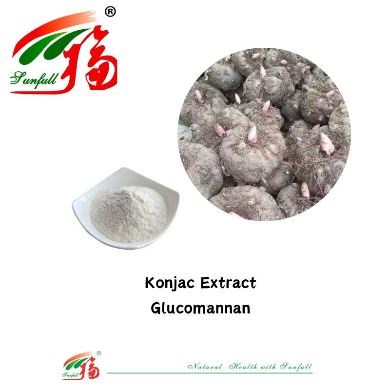 High Quality Natural Dietary Supplements Konjca Extract Glucomannan 85% White Kidney Bean Extract Powder for Weight Loss Support