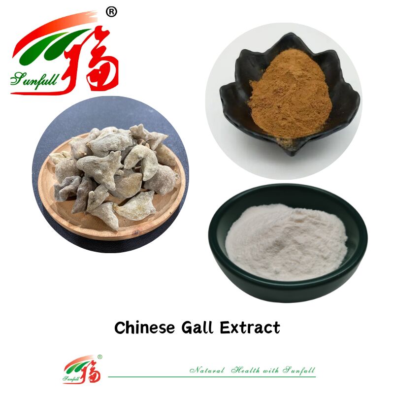 ISO 22000/Kosher/Halal Chinese Traditional Medical Direct Supply Natural 40%-90% Ellagic Acid 99% Gallic Acid Powder Chinese Gall Extract