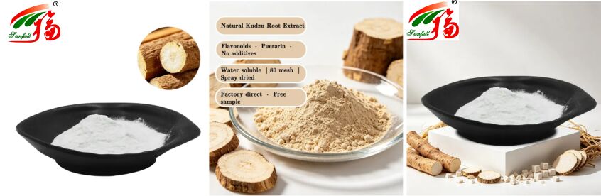 Free Sample Antioxidant Raw Materials Cosmetic Whitening Plant White Peony Powder Peony Root Extract 10%-50% Paeoniflorin