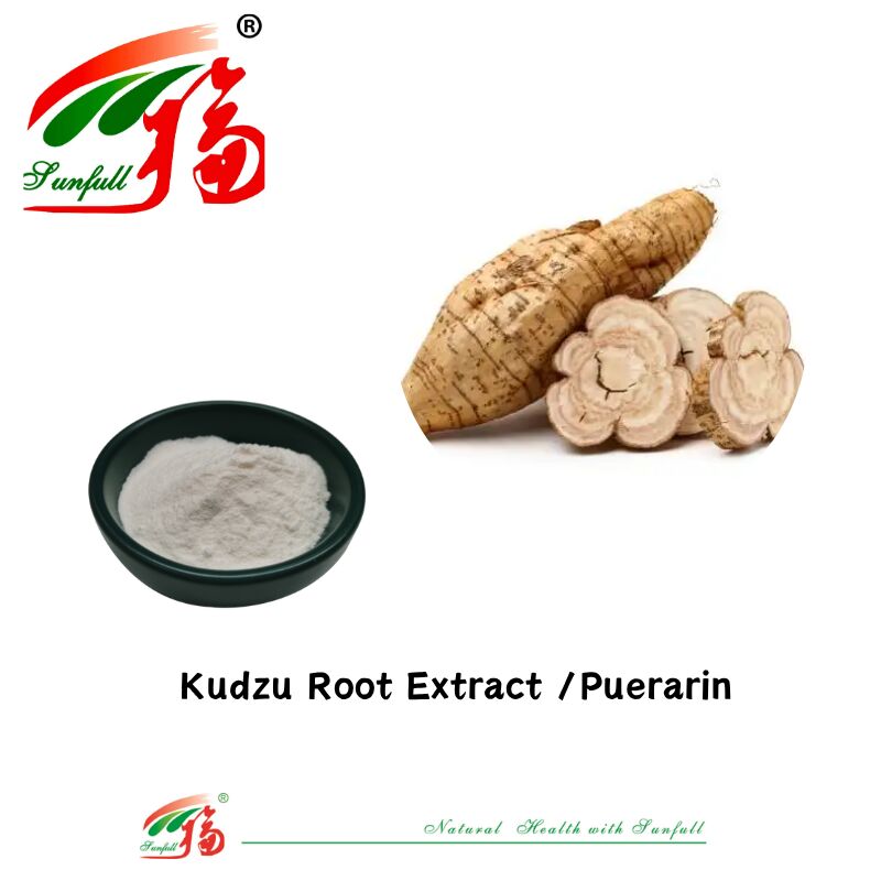 Free Sample High Quality Kudzu Root Extract Pueraria Lobata Extract Puerarin 10%-98% CAS 3681-99-0