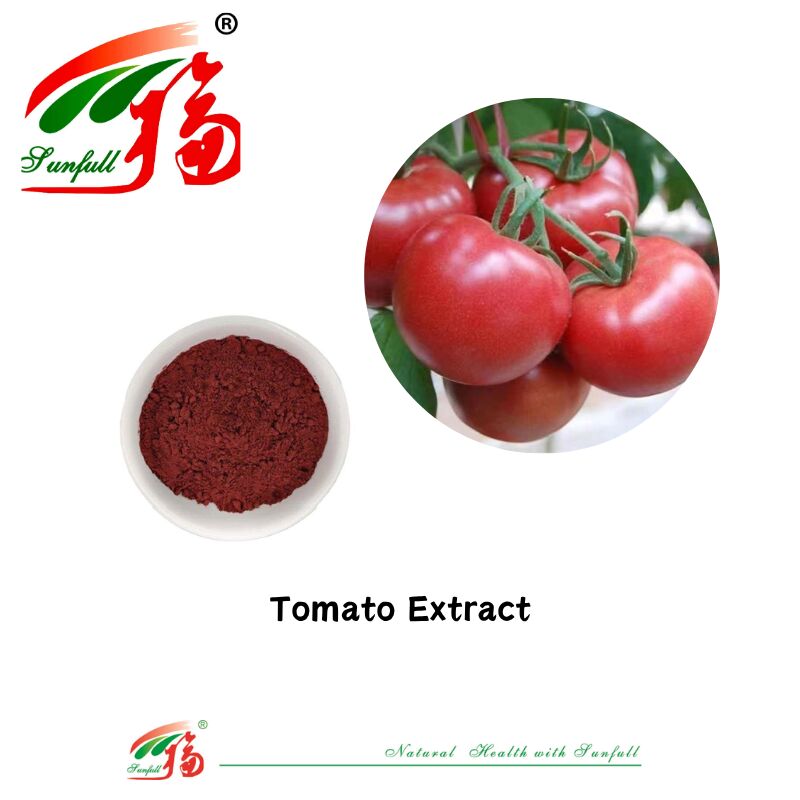 Health Food Food Grade CAS 502-65-8 Wholesale Price Natural Pigments Tomato Extract 1%-10% Lycopene Powder