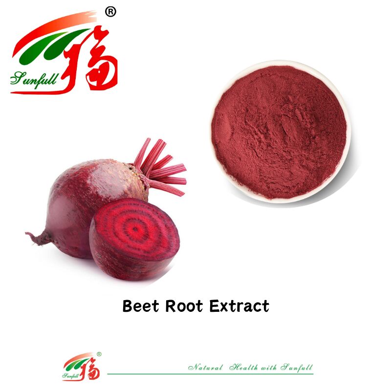 100% Natural Plant Extract Natural Pigment Organic Fresh Dried Beet Root Juice Extract Supplement Betanin Used in Food and Beverage Beet Root Extract