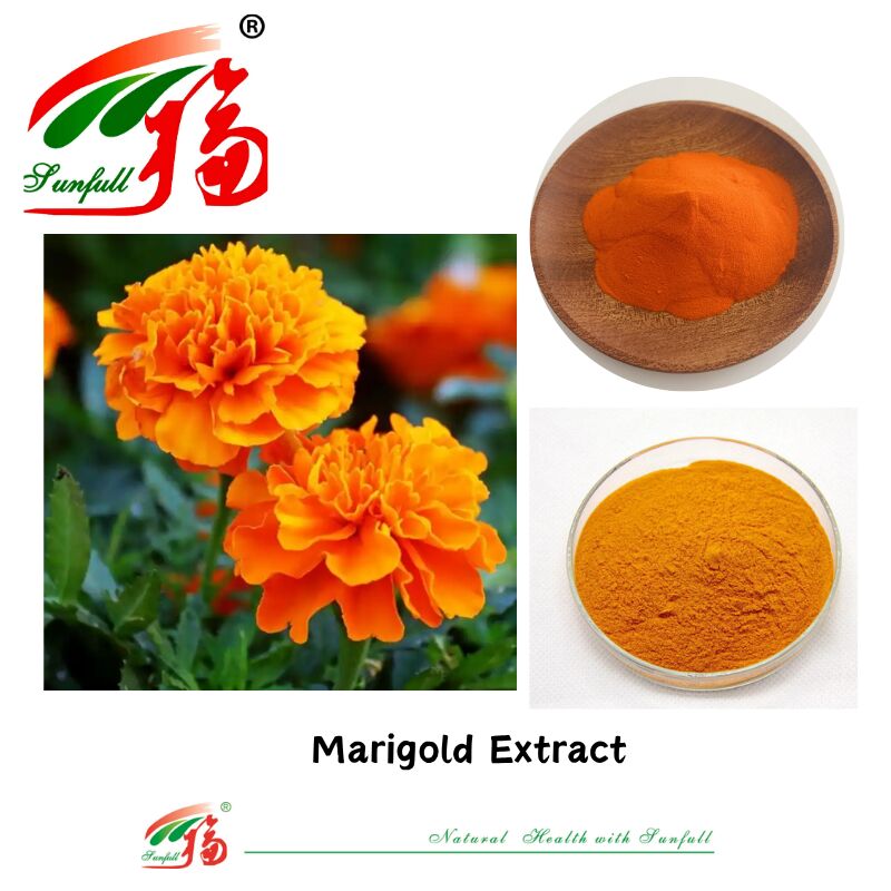 Natural Ingredients Eyes Health Food Grade Zeaxanthin 5% Water Soluble Lutein 5% HPLC Marigold Flower Extract