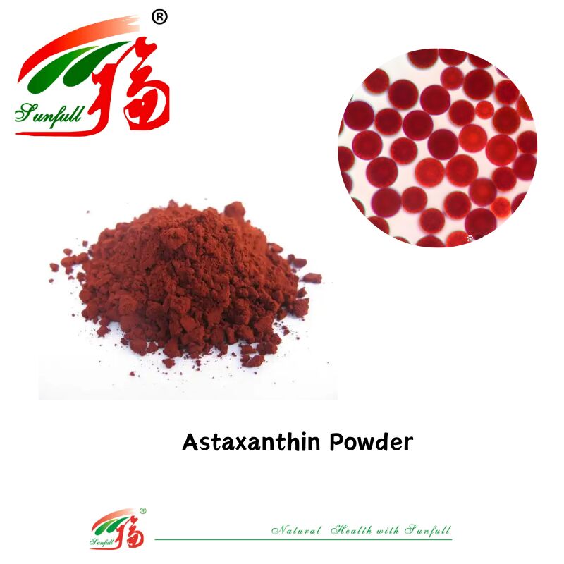 Sunfull Food Grade Antioxidants Health Supply High Quality 1%-10% Natural Haematococcus Pluvialis Extract/Astaxanthin Powder