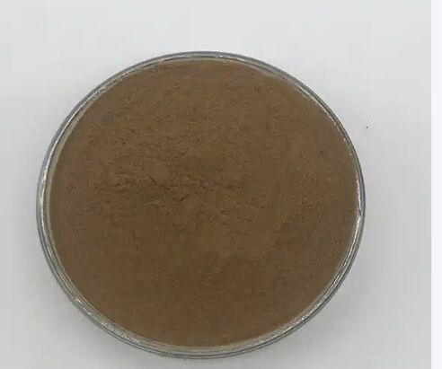ISO/Kosher Promotes Digestion Food Grade Cassia Seed Extract 10: 1 / 20% HPLC Sennosides Senna Leaf Extract