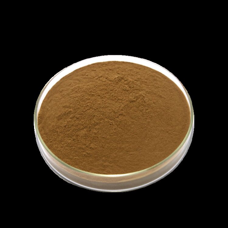 ISO/Kosher Promotes Digestion Food Grade Cassia Seed Extract 10: 1 / 20% HPLC Sennosides Senna Leaf Extract