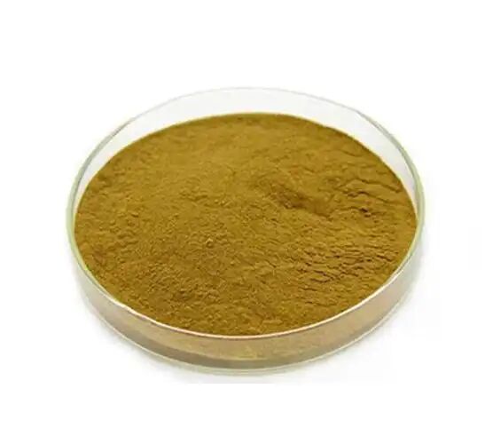 Feed Grade / Food Grade Nutritional Supplements Eucommia Ulmoides Extract/Green Coffee Bean Extract Chlorogenic Acid 5%-98%