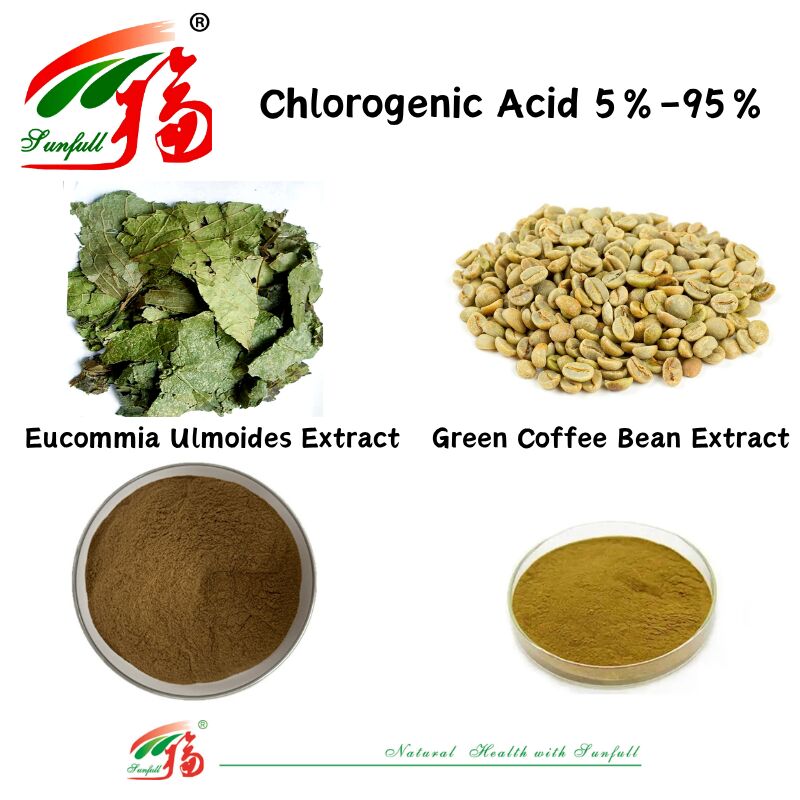 Feed Grade / Food Grade Nutritional Supplements Eucommia Ulmoides Extract/Green Coffee Bean Extract Chlorogenic Acid 5%-98%