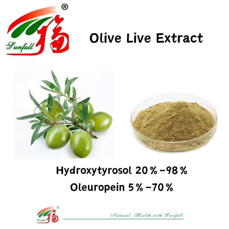 100% Natural Food Grade Health Supplements Factory Supply 80% Oleuropein /5%~20% Hydroxytyrosol Olive Leaf Extract