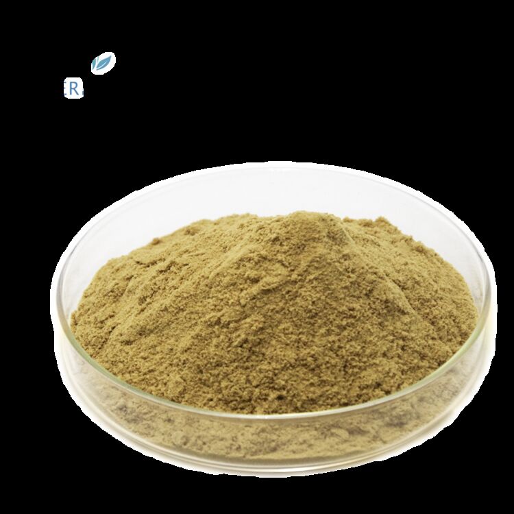 100% Natural Food Grade Health Supplements Factory Supply 80% Oleuropein /5%~20% Hydroxytyrosol Olive Leaf Extract