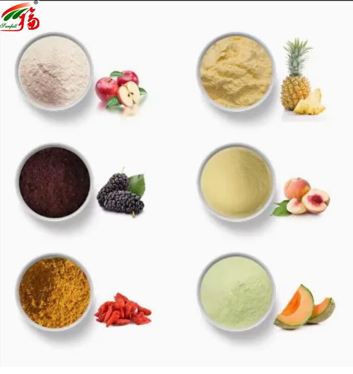 Fruit Ingredients Health Food High Quality Good Flavor and Water Solubility Beverages Freeze-Dried Powder Various Fruit Powder