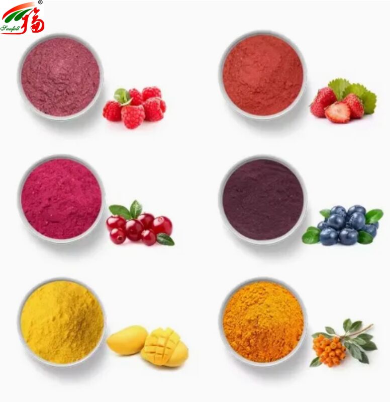 Fruit Ingredients Health Food High Quality Good Flavor and Water Solubility Beverages Freeze-Dried Powder Various Fruit Powder