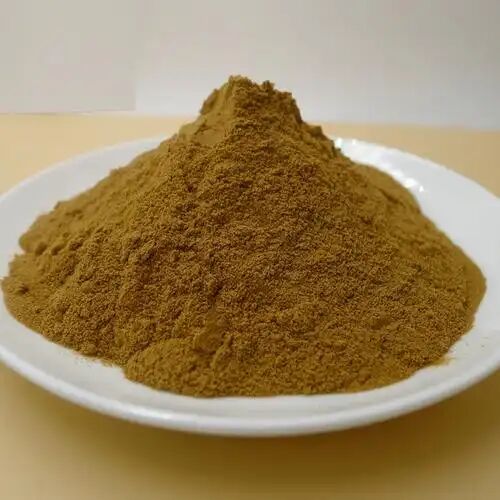 High Quality Factory Price Ruscus Aculeatus Root Extract 10%-20% Ruscogenin Butcher's Broom Extract