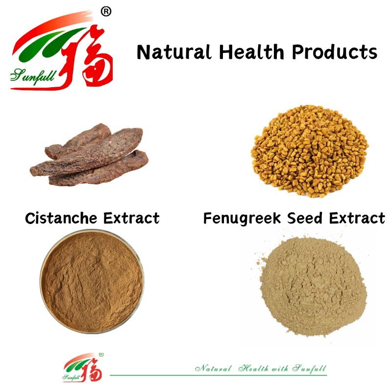 Promote Men's Health Natural High Quality Fenugreek Seed Extract Saponins 20% / Phenylethanoid Glycosides 40% /Echinacoside 8% Cistanche Extract
