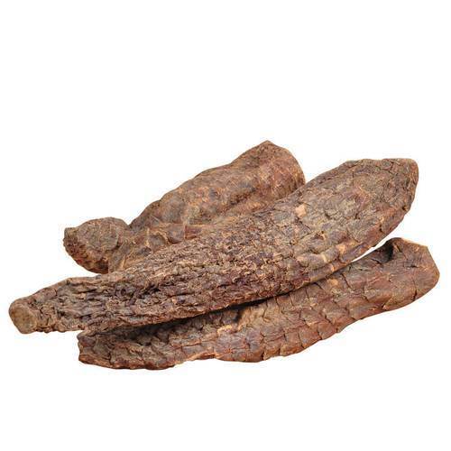 Promote Men's Health Natural High Quality Fenugreek Seed Extract Saponins 20% / Phenylethanoid Glycosides 40% /Echinacoside 8% Cistanche Extract