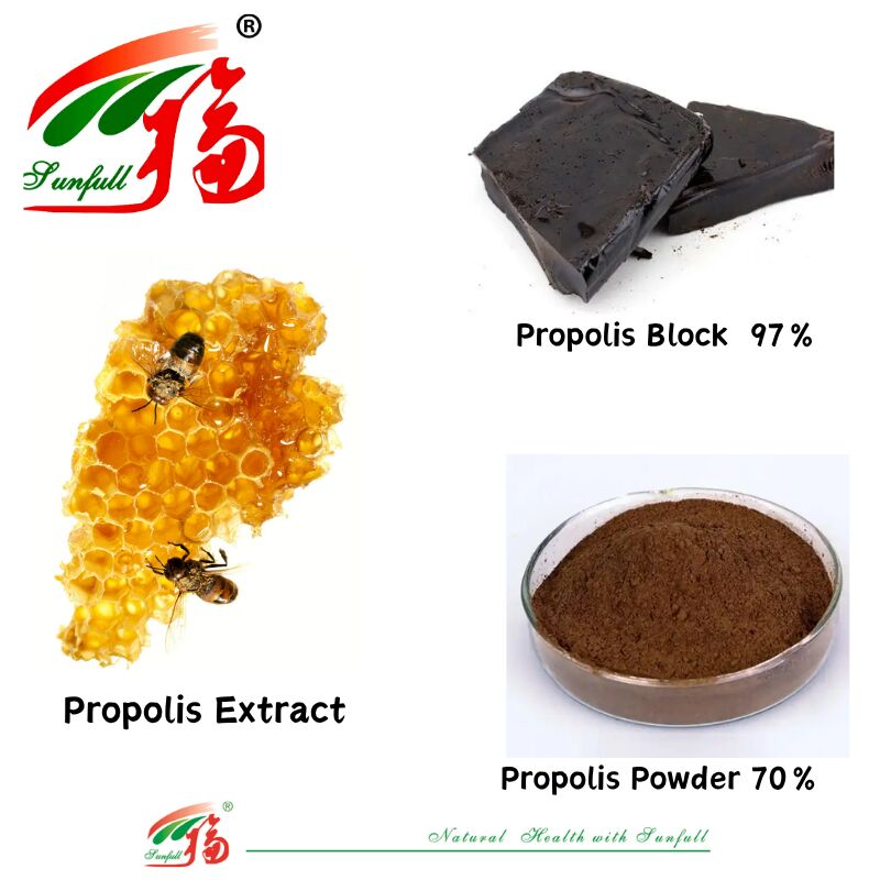 Dietary Supplements/Pharmaceutical Rich in Flavonoids 10%-20% Water-Soluble Propolis Block 97% / Propolis Powder 70% Propolis Extract