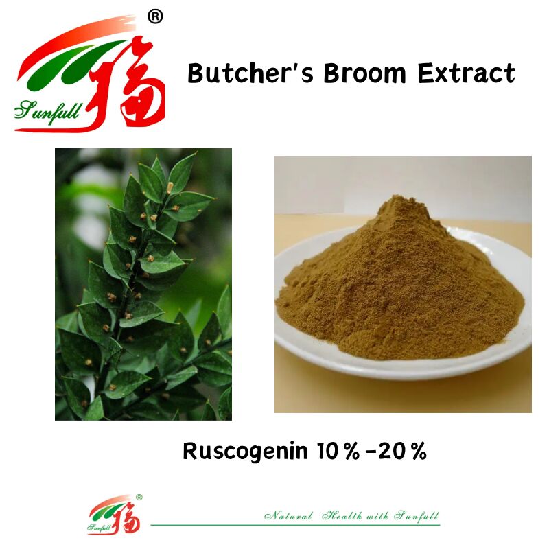 High Quality Factory Price Ruscus Aculeatus Root Extract 10%-20% Ruscogenin Butcher's Broom Extract