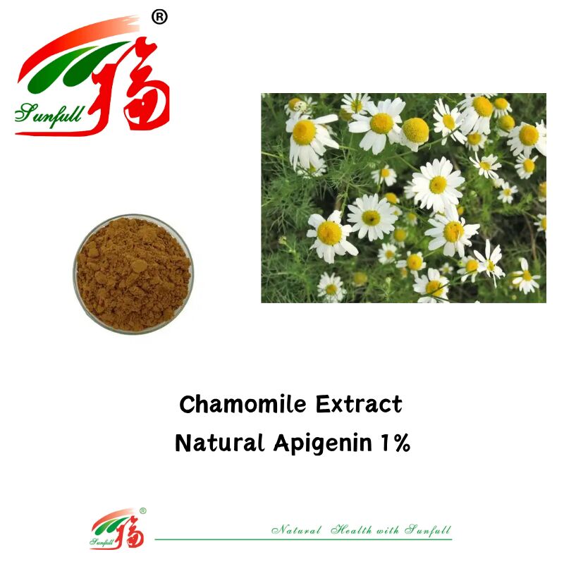 100% Natural Celery Seed Extract 98% Apigenin Powder CAS 520-36-5 High Quality Apigenin 1% Chamomile Extract