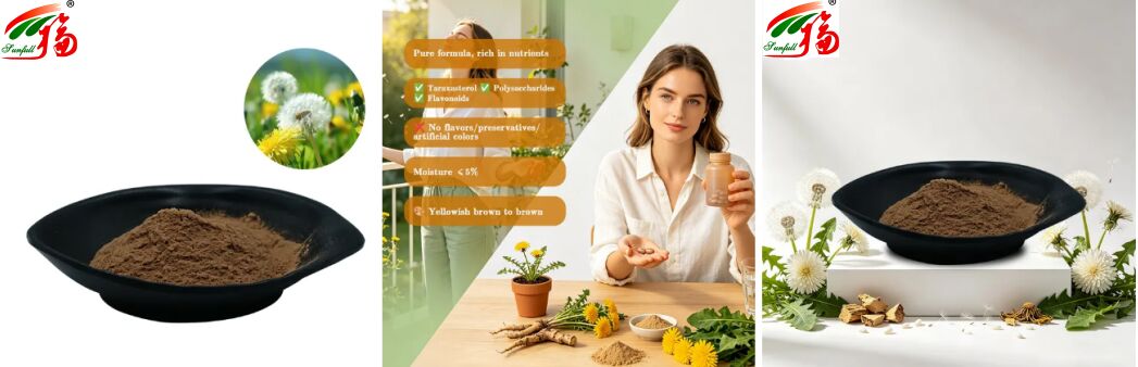 Food Grade Dandelion Herb Dandelion Leaves Extract Powder Natural Flavonoids 5%-10% Organic Dandelion Extract