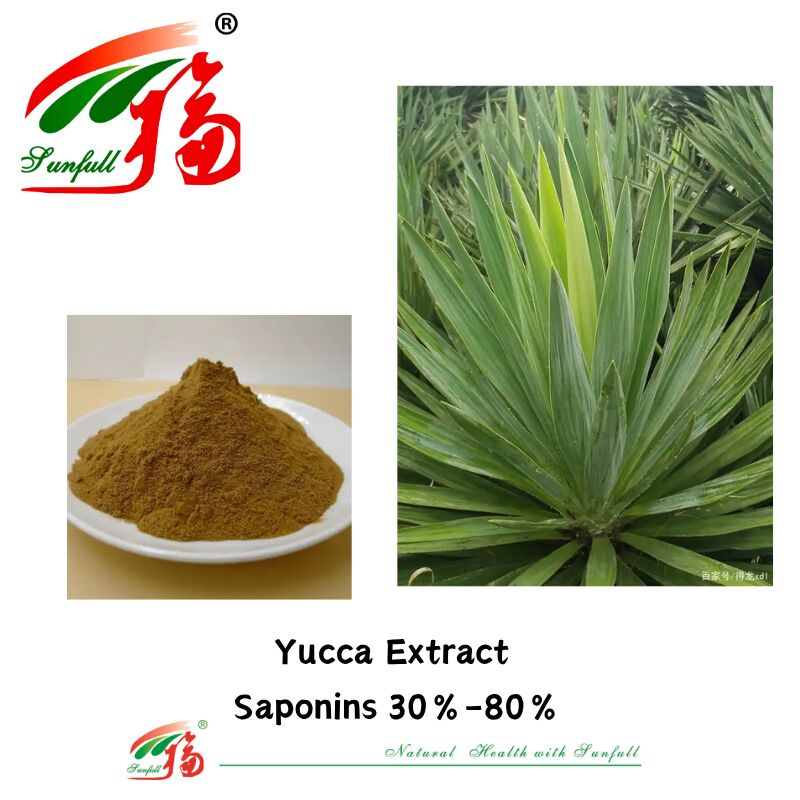 ISO/Kosher Deodorizer Promote Gut Health Pet Food Ingredient 10%-80% Saponins Yucca Extract