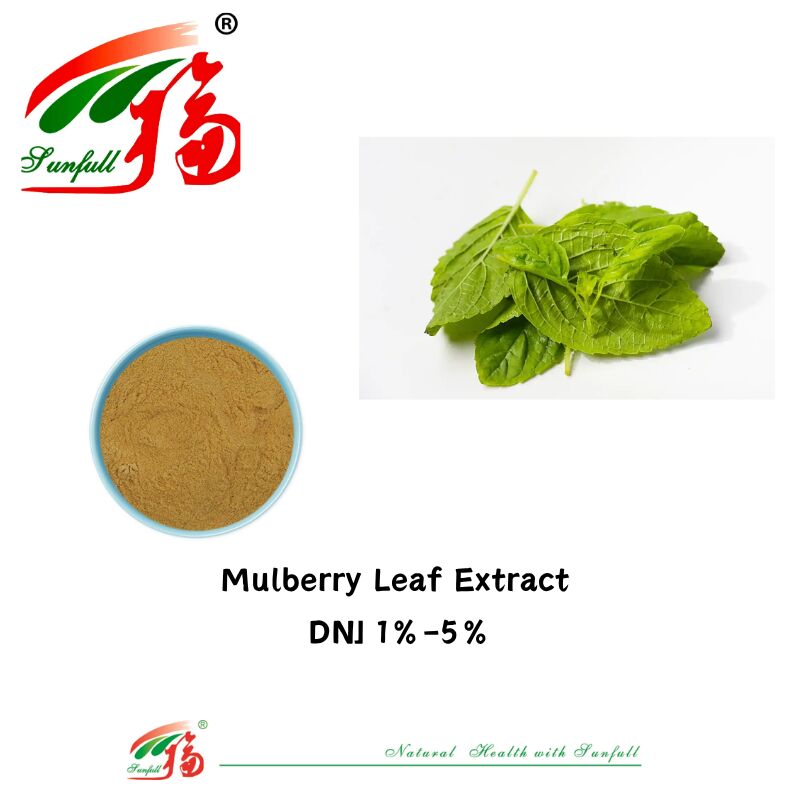 Free Sample Food Grade 1%-5% HPLC Deoxynojirimycin Dnj Powder Polysaccharides Mulberry Leaf Extract Powder Anti-Aging Antioxidant for Cosmetic Formulations