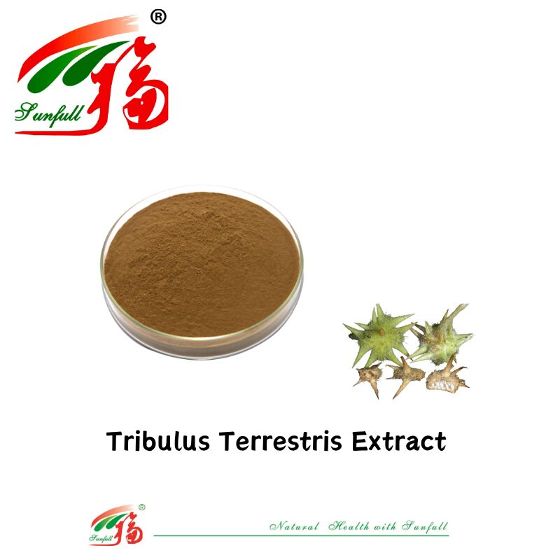 China Factory Hot Sell Man Health Food Grade Tribulus Extract Free Sample Tribulus Terrestris Extract Powder 40%-90% Saponins