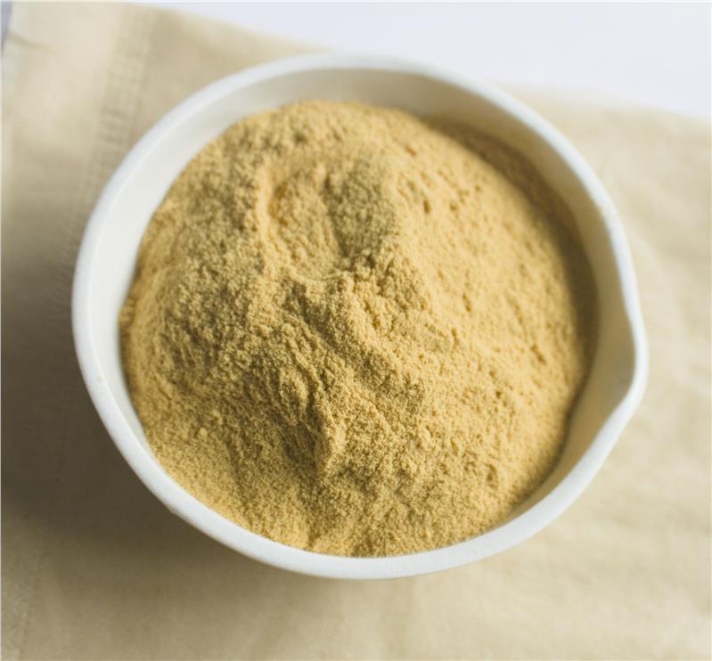 Factory Supply Hemostasis Dietary Supplements 10% 40% 80% Notoginsenosides Panax Notoginseng Root Extract